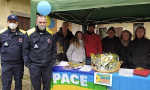 massino visconti mimosa solidale