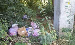 meina rifiuti abbandonati beccato