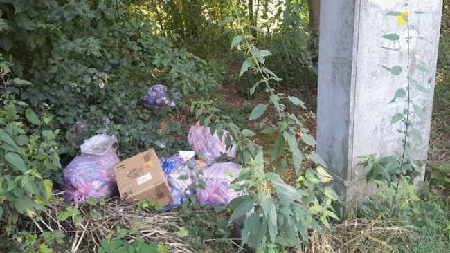 meina rifiuti abbandonati beccato