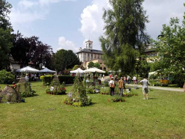 menta rosmarino bilancio