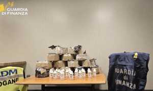 mlpx farmaci set 25 foto