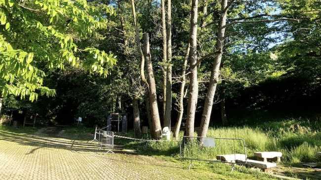 nebbiuno piazzale pic nic piante