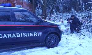 oleggio castello forestali