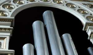 organo s maria sandon