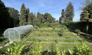 orto allegria dagnente