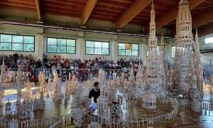 paruzzaro effimera ago 25 2