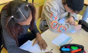 peer education Enaip arona