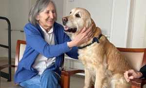 pet therapy Orpea Italia Residenza Arcadia 1