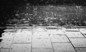 pioggia mattonelle bn