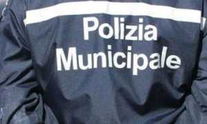 polizia municipale 700 images common thumb medium650 0