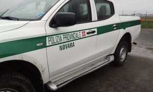 polizia provinciale auto