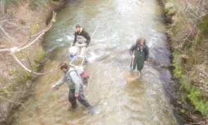 prelievi arona vevera