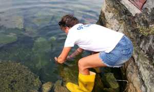 prelievo microbiologico dorta