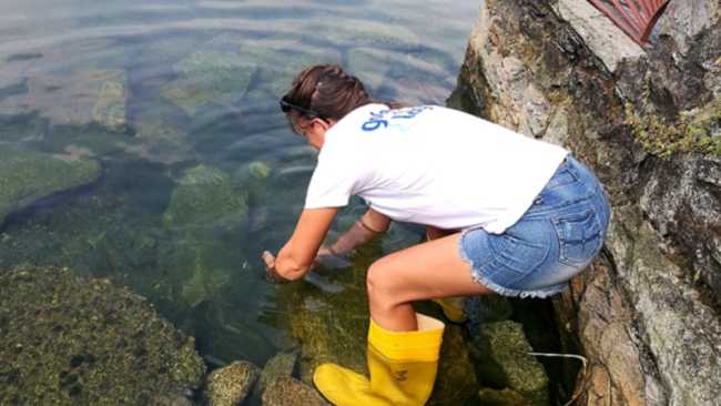 prelievo microbiologico dorta