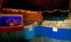 presepe grotta 1