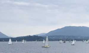 regata lesa