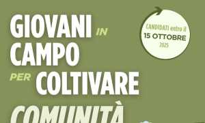 serv civile agricolo ott 25