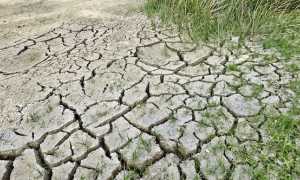 siccita terra foto