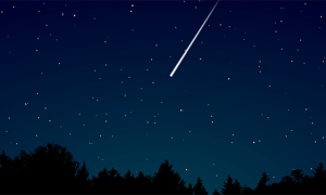 stella cadente copia