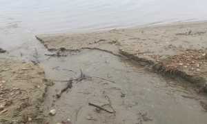 sversamento punta vevera