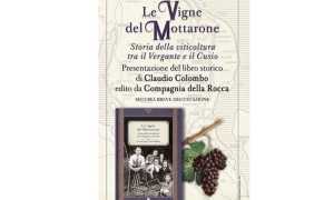 vigne mottarone