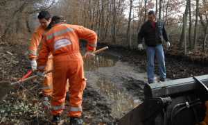 vp giorn ecol archivio