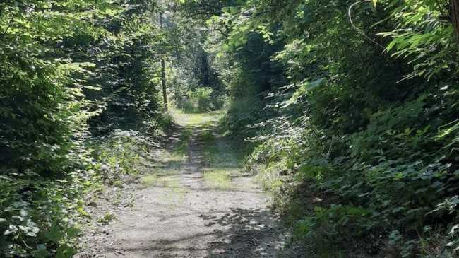 vp manutenzione campo dei fiori