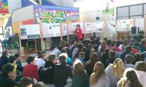 vp mostra stella alpina