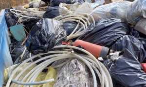 vp raccolta rifiuti ambiente