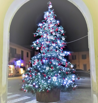 albero Marano