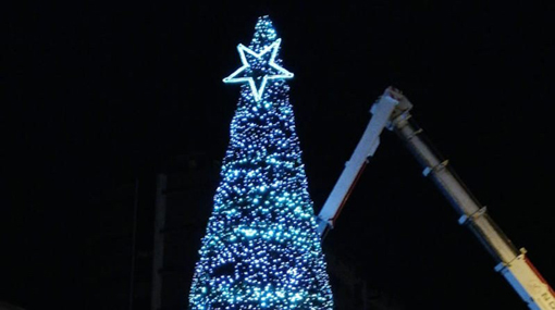 arona colloc albero 1