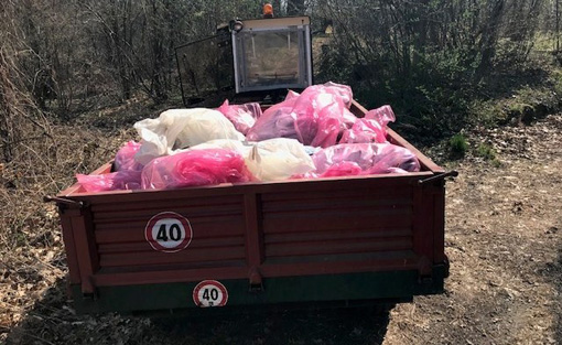 invorio giornata ecologica