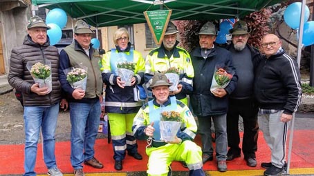 massino fiori azzurro