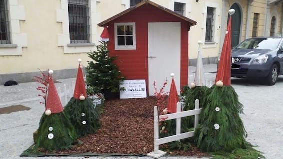 installazione cavallini