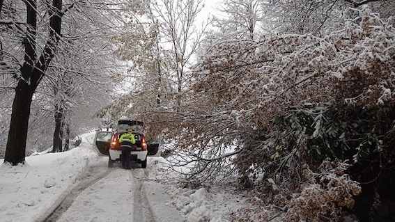 massino protezione civile