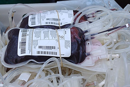 donazione sangue 2