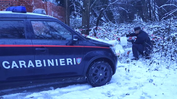 oleggio castello forestali