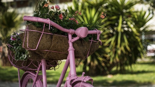 fiori bicicletta