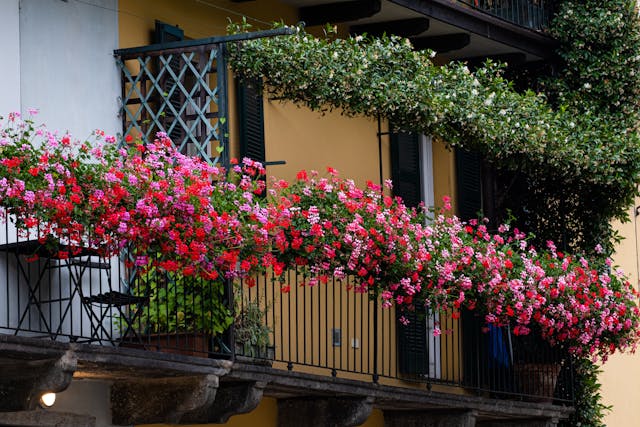 balcone fiori 1