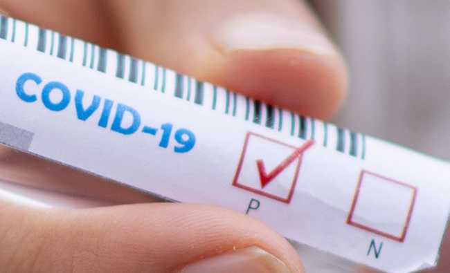 covid positivo test test tube 5065426 images articles vco ossola 2020 ottobre thumb medium650 0