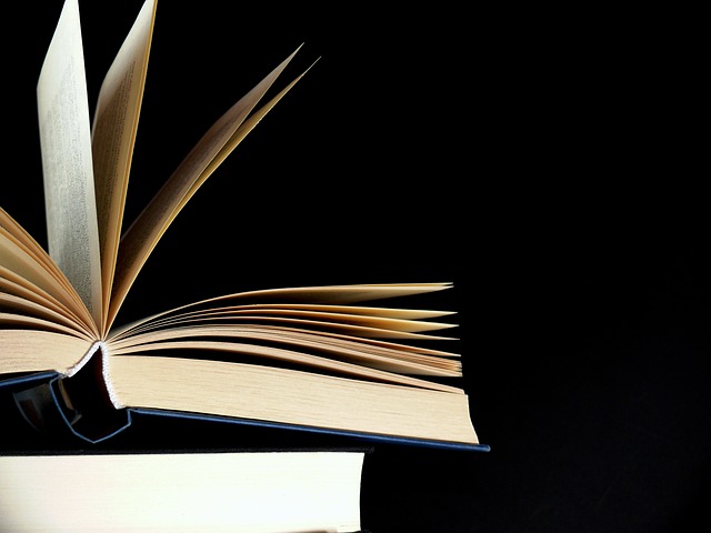 Libro poesia lettura