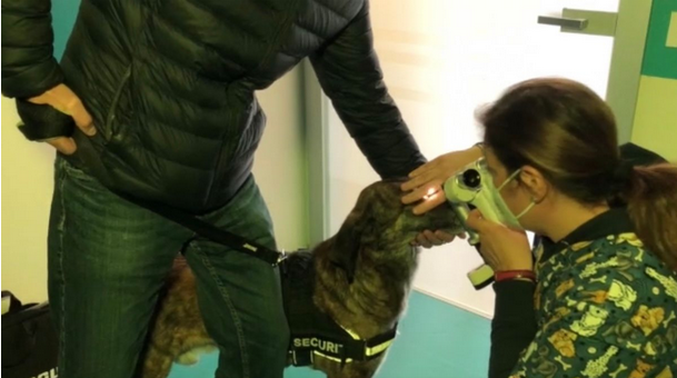 Schermata 2021 04 25 alle 10.05.49